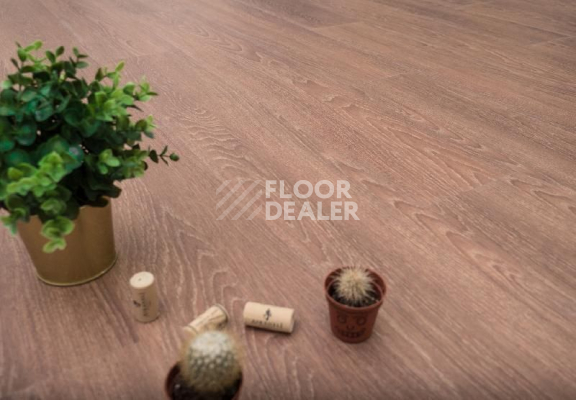 Кварцвиниловые полы Ecoclick Wood  клеевой 2.3мм NOX-1714 Дуб Арагон фото 1 | FLOORDEALER